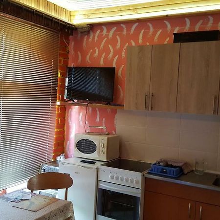 Apartman "Athos" Prizemlje Višegrad Kültér fotó